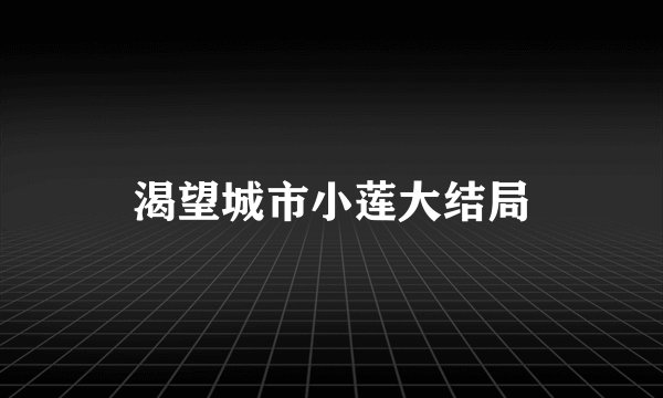 渴望城市小莲大结局