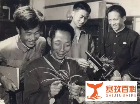 一粥一饭间,怀念袁爷爷!