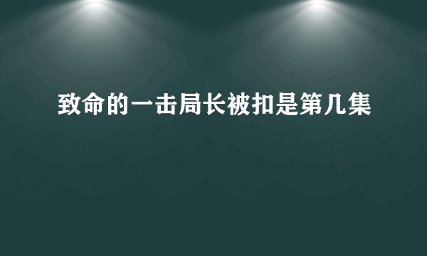 致命的一击局长被扣是第几集
