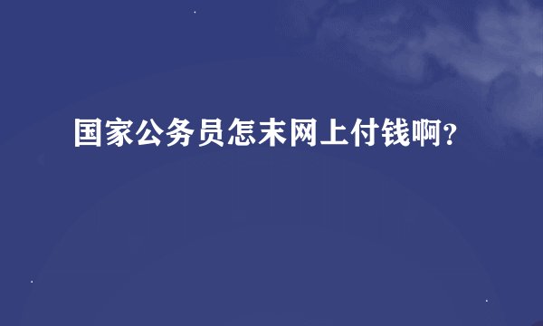 国家公务员怎末网上付钱啊？