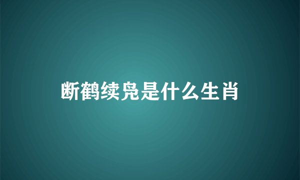断鹤续凫是什么生肖