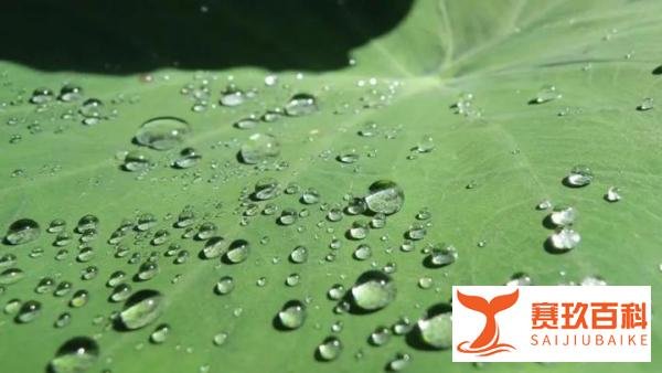 千门八将36局之滴水滚珠局【详解】