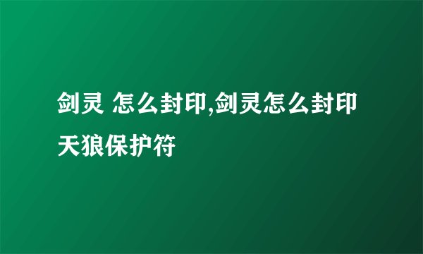 剑灵 怎么封印,剑灵怎么封印天狼保护符