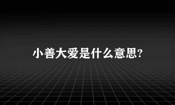 小善大爱是什么意思?