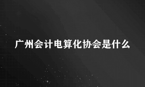 广州会计电算化协会是什么