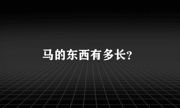 马的东西有多长？