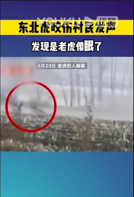 “虎口逃生”女子:我当时傻眼了 这是咋情况？