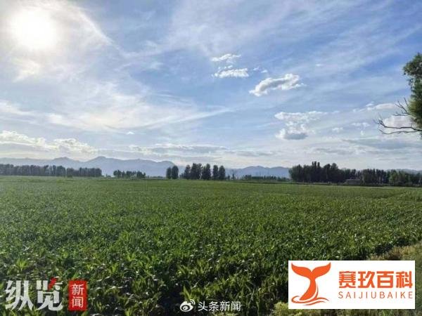 杀5人嫌犯仍在逃：玉米地全面搜寻无果