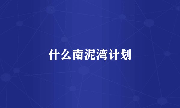 什么南泥湾计划
