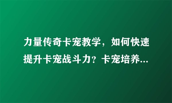 力量传奇卡宠教学，如何快速提升卡宠战斗力？卡宠培养攻略详解