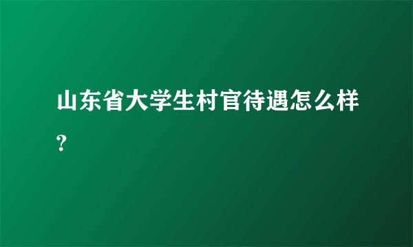 山东省大学生村官待遇怎么样？