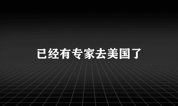 已经有专家去美国了