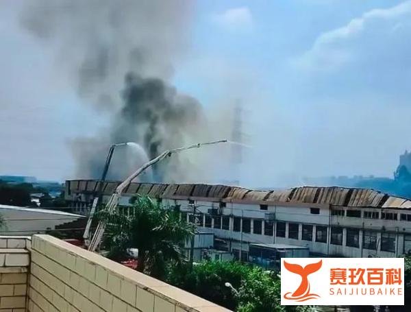 警惕 | 广东佛山一包装印刷厂突发大火