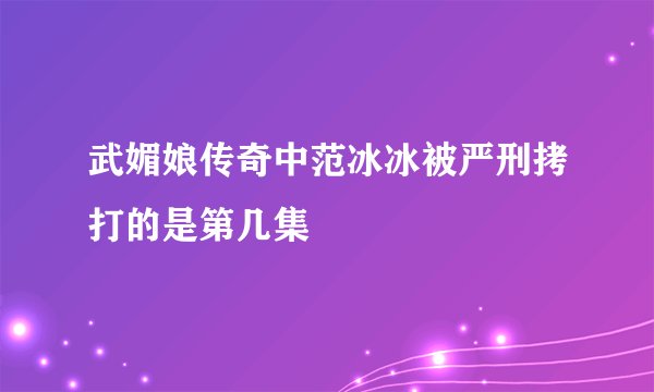 武媚娘传奇中范冰冰被严刑拷打的是第几集