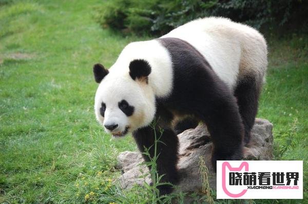 期货市场对股市有什么影响？
