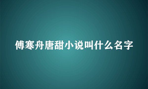 傅寒舟唐甜小说叫什么名字