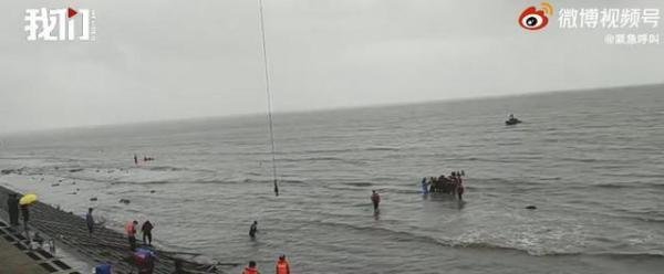 9头搁浅瓜头鲸已被救起 这是咋情况？