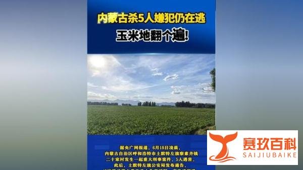 杀5人嫌犯仍在逃：玉米地全面搜寻无果