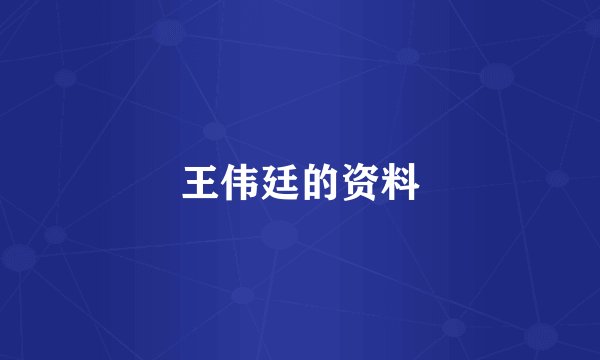 王伟廷的资料