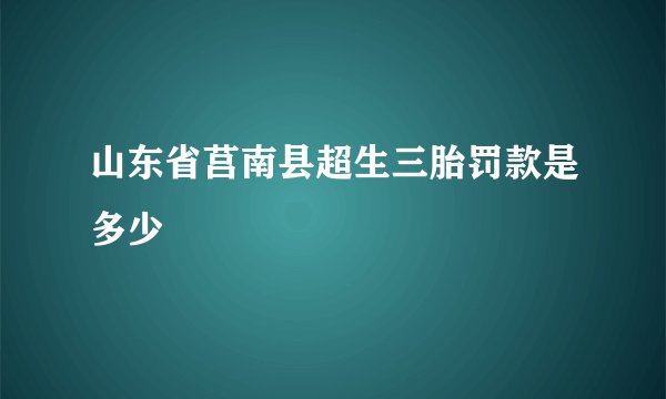 山东省莒南县超生三胎罚款是多少