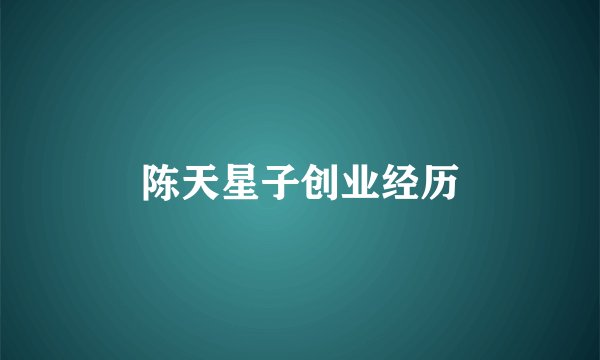 陈天星子创业经历