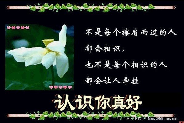 知音难觅的歌词