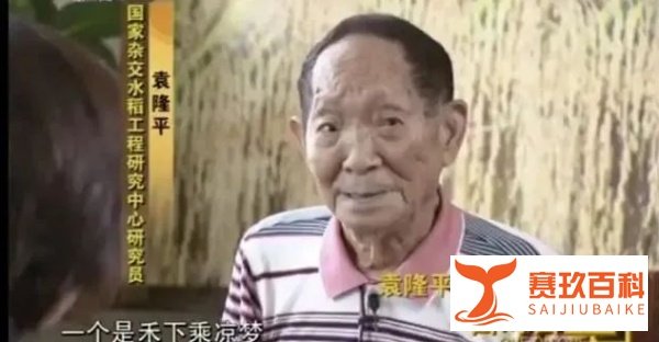 一粥一饭间，怀念袁爷爷！