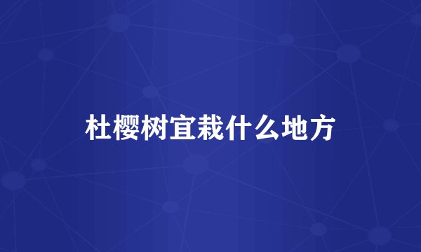 杜樱树宜栽什么地方