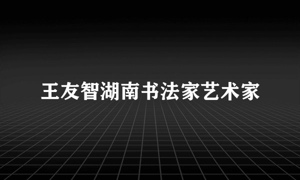 王友智湖南书法家艺术家