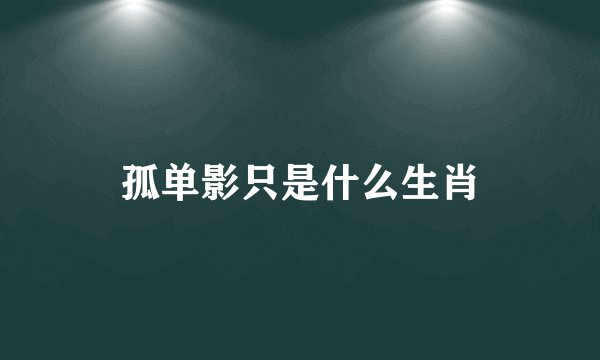 孤单影只是什么生肖