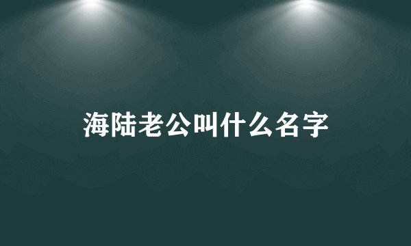 海陆老公叫什么名字