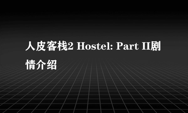 人皮客栈2 Hostel: Part II剧情介绍