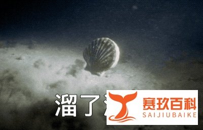 太坑！扇贝又死了，獐子岛为何还没被退市！