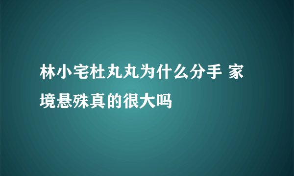 林小宅杜丸丸为什么分手 家境悬殊真的很大吗