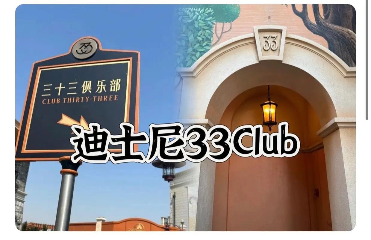 上海迪士尼vip通道要多少钱，上海迪士尼vip免排队价格