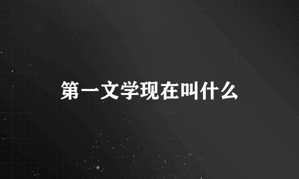 第一文学现在叫什么