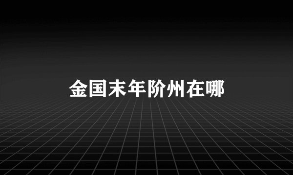 金国末年阶州在哪