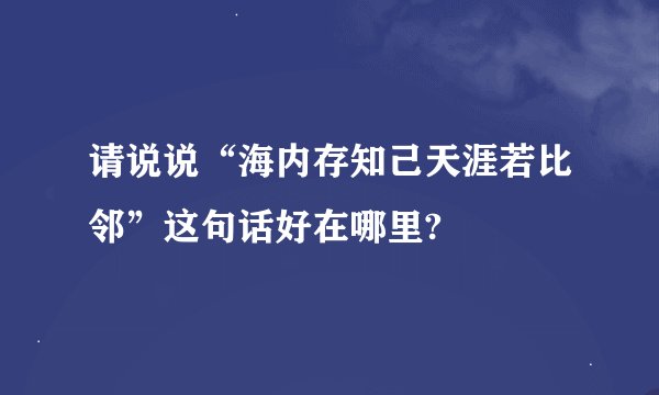 请说说“海内存知己天涯若比邻”这句话好在哪里?