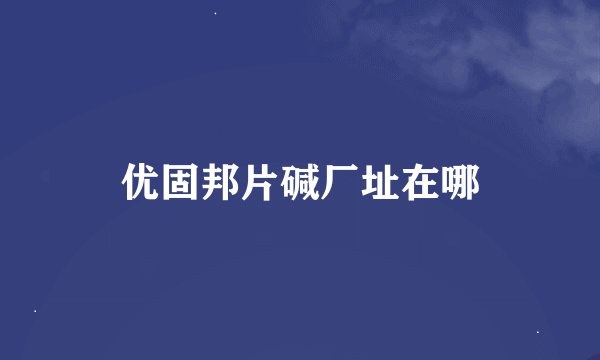 优固邦片碱厂址在哪