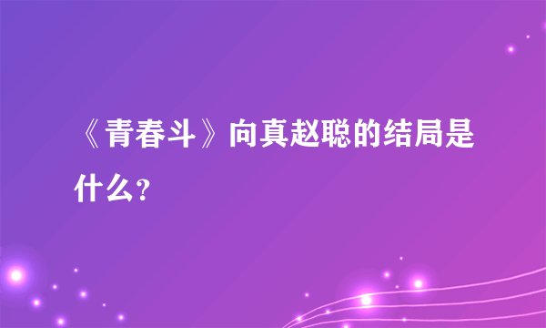 《青春斗》向真赵聪的结局是什么?