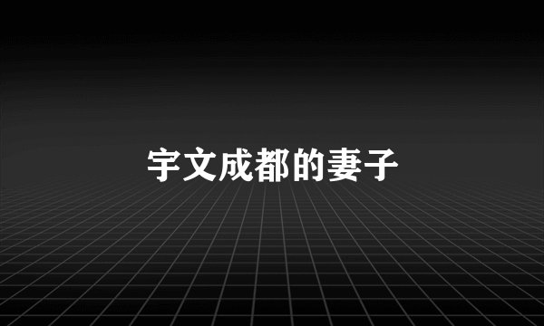 宇文成都的妻子
