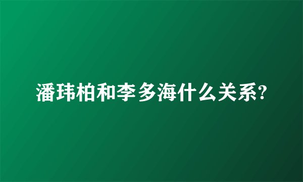 潘玮柏和李多海什么关系?
