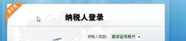 地税网上申报流程