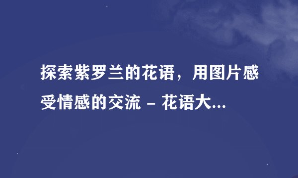 探索紫罗兰的花语，用图片感受情感的交流 - 花语大全 - 盆栽百科网