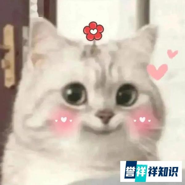 好冷门的知识点！施耐庵跟罗贯中竟然是师徒关系！