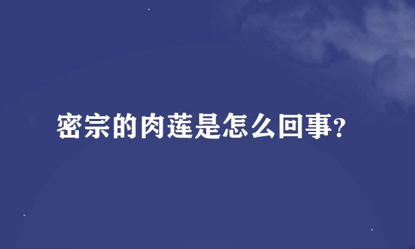 密宗的肉莲是怎么回事？