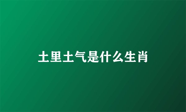 土里土气是什么生肖