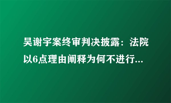 吴谢宇案终审判决披露：法院以6点理由阐释为何不进行精神鉴定