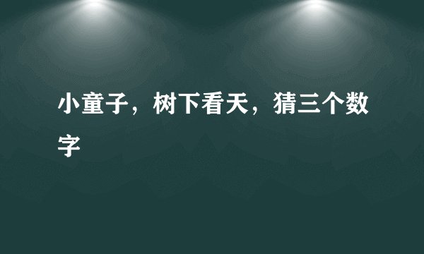 小童子，树下看天，猜三个数字