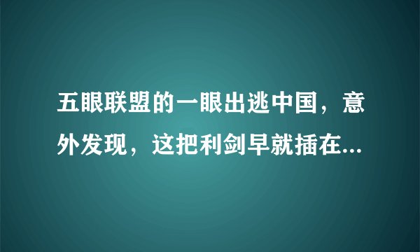 五眼联盟的一眼出逃中国，意外发现，这把利剑早就插在美霸权头上